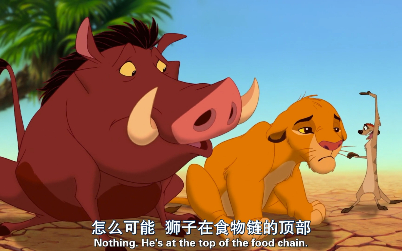 【演员罗梨珂】《狮子王》1994 配音作业,辛巴和彭彭丁满初相遇,哈库