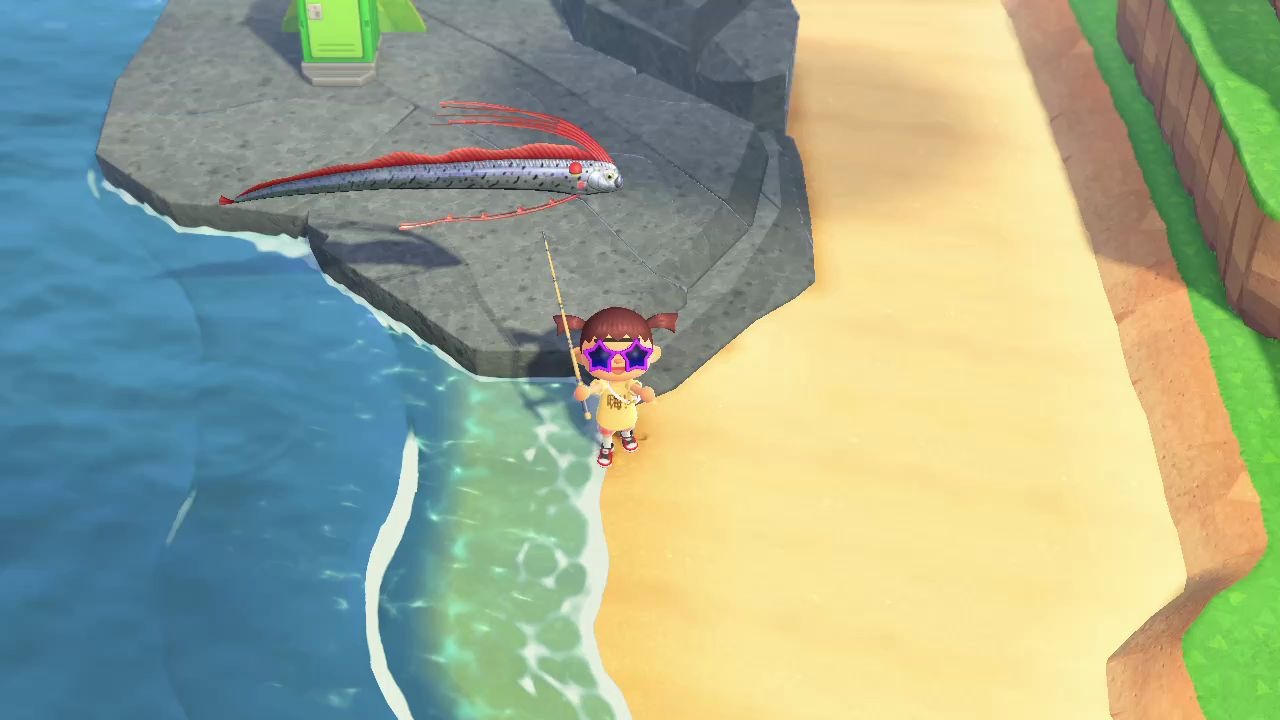 动物森友会日常出货皇带鱼