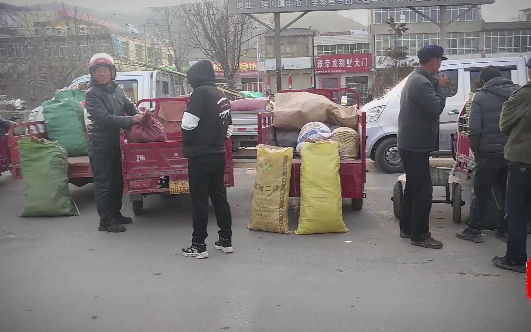 [图]农村人上药材市场卖党参苗，抢不到地盘卖不了货，早晚开市中午休