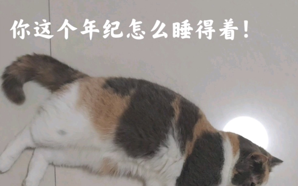 你这个年纪怎么睡得着的