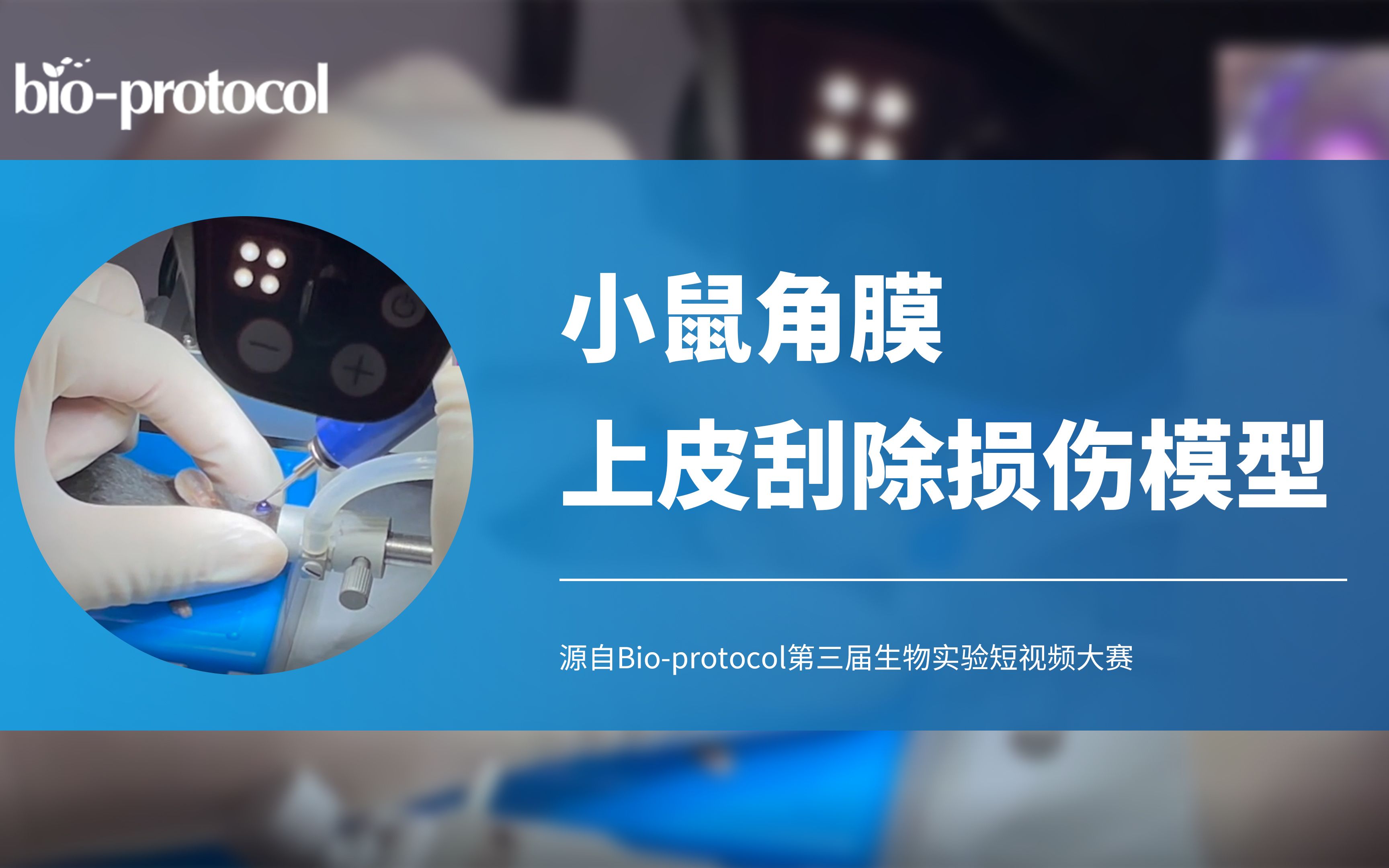 【Bioprotocol】小鼠角膜上皮刮除损伤模型哔哩哔哩bilibili