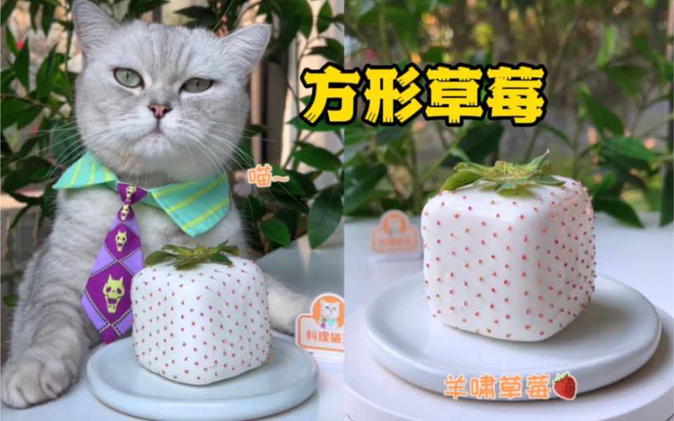 猫王:简化版羊哮草莓,有手就能会!-料理猫王-料理猫王-哔哩哔哩视频