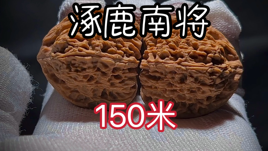 顺歪三角桩万字纹、涿鹿一代老树南将石 尺寸404039 编号Q24010 150米哔哩哔哩bilibili