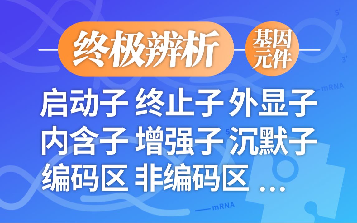 【高中生物终极辨析】启动子终止子外显子内含子编码区增强子沉默子基因表达的元件与区域哔哩哔哩bilibili