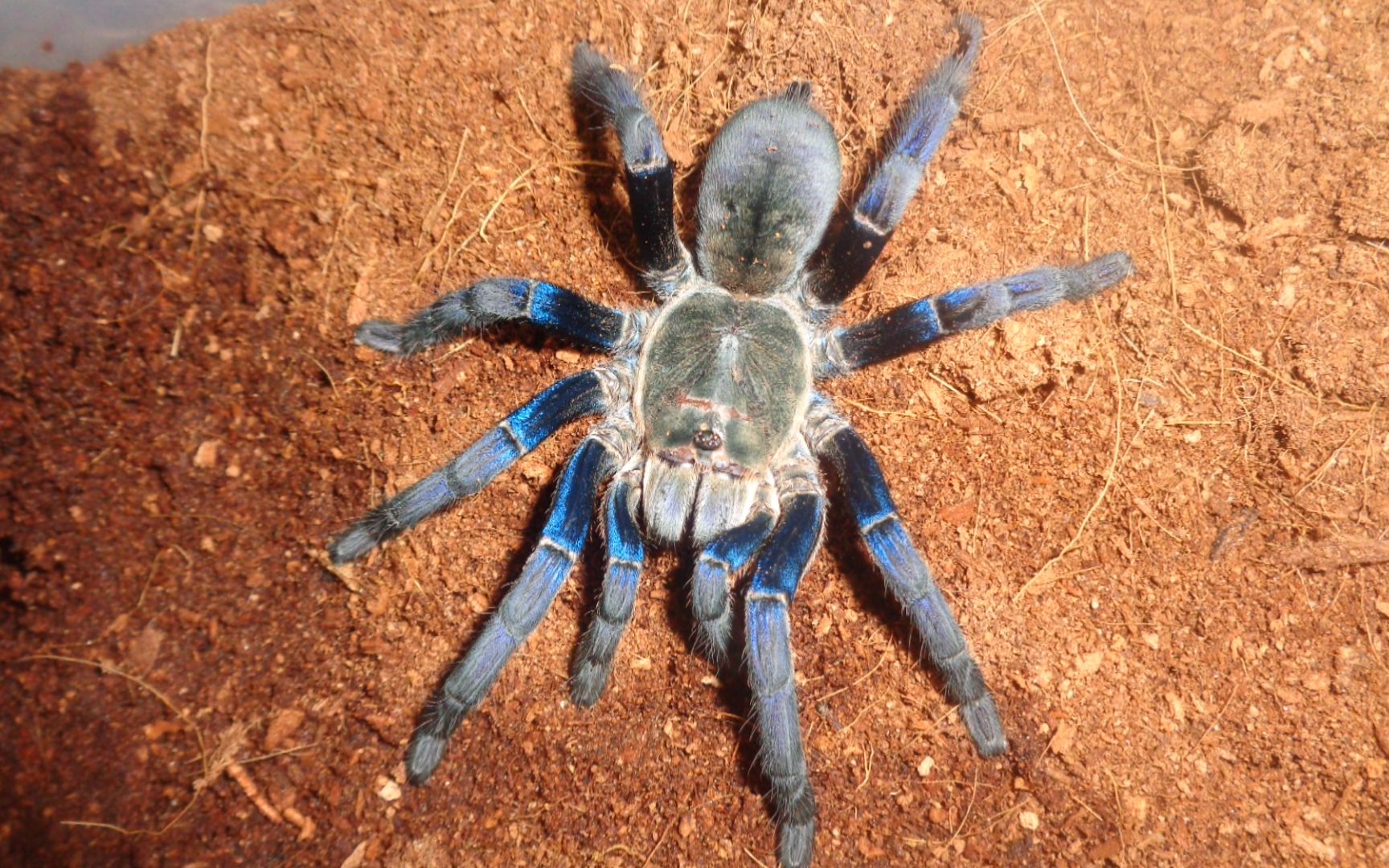 这是一个被吓了两跳的开箱视频