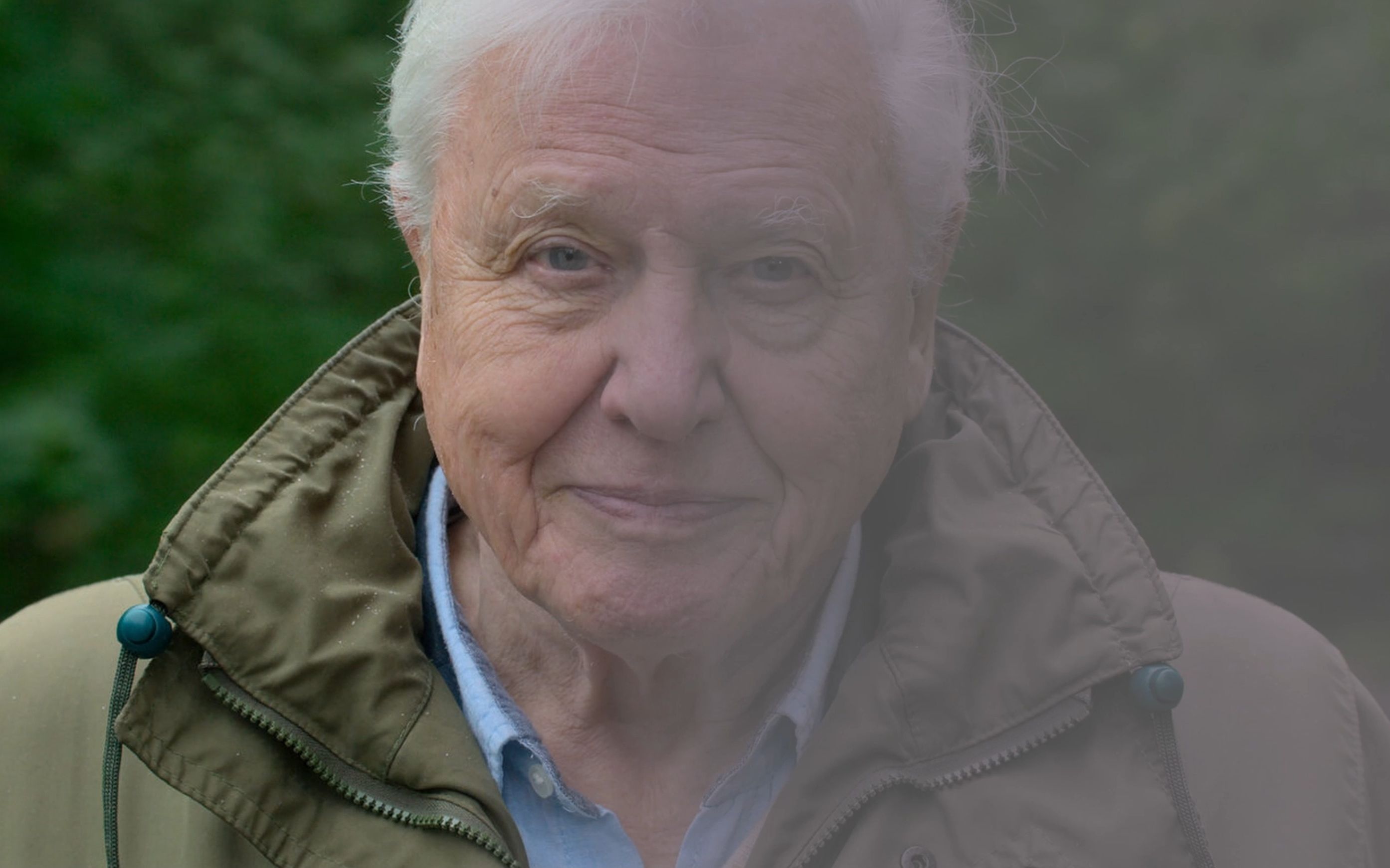 炼丹 | ai 大卫爱登堡测试