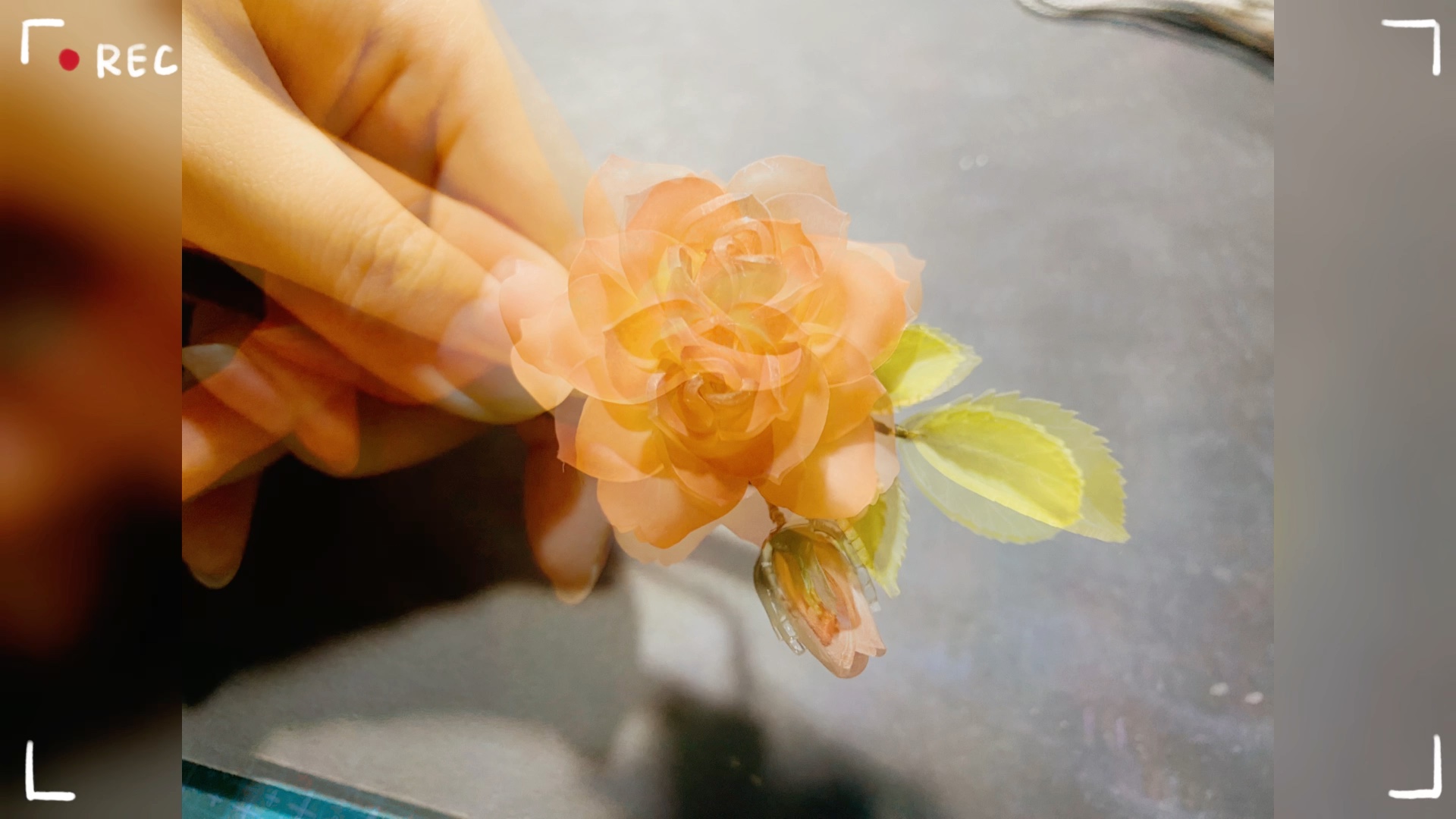 热缩片玫瑰花图案素材图片