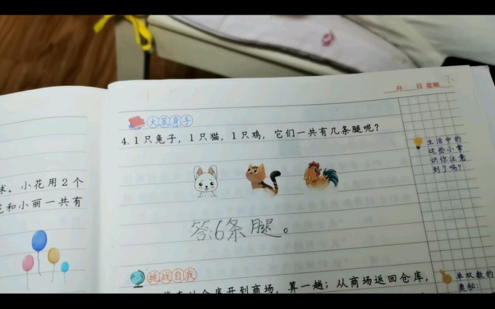 兔子有几条腿?一年级小学生告诉你…哔哩哔哩bilibili