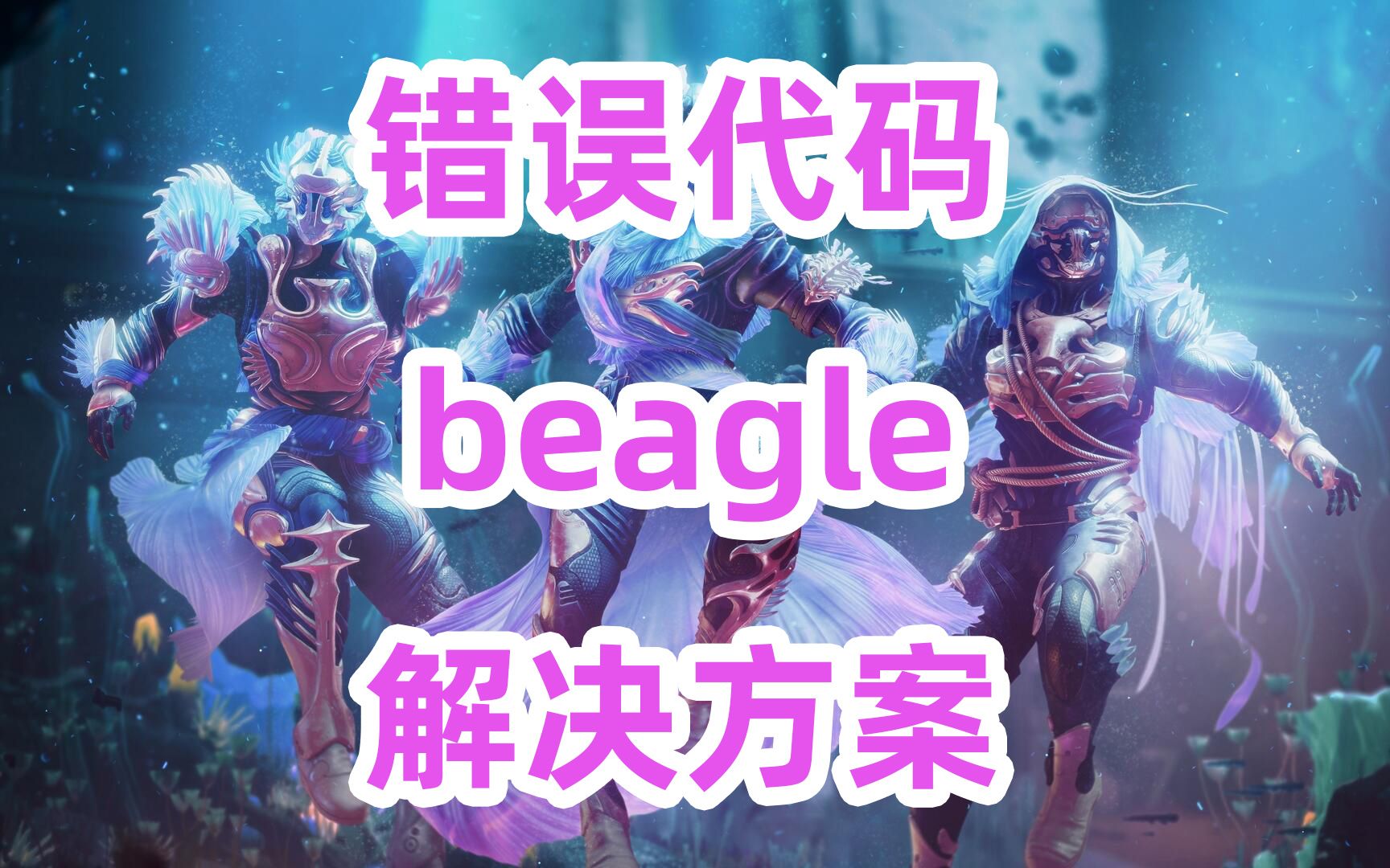 1900《命运2》错误代码beagle咋办啊【解决方案】错误代码beagle解决方案destiny2网络游戏热门视频