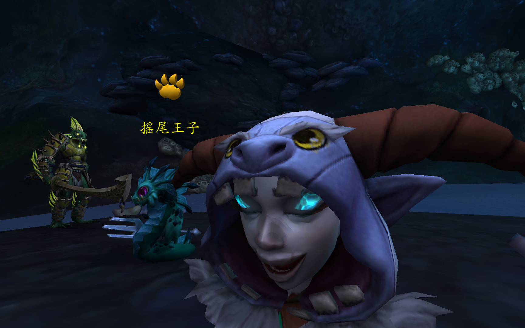 枯黄土竹刚刚:魔兽世界纳沙塔尔日常宠物对战任务之7回合击败摇尾王子