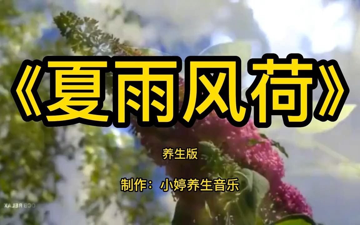 [图]世界顶级葫芦丝古筝太极拳音乐推荐《夏雨风荷》加长版，清心静心