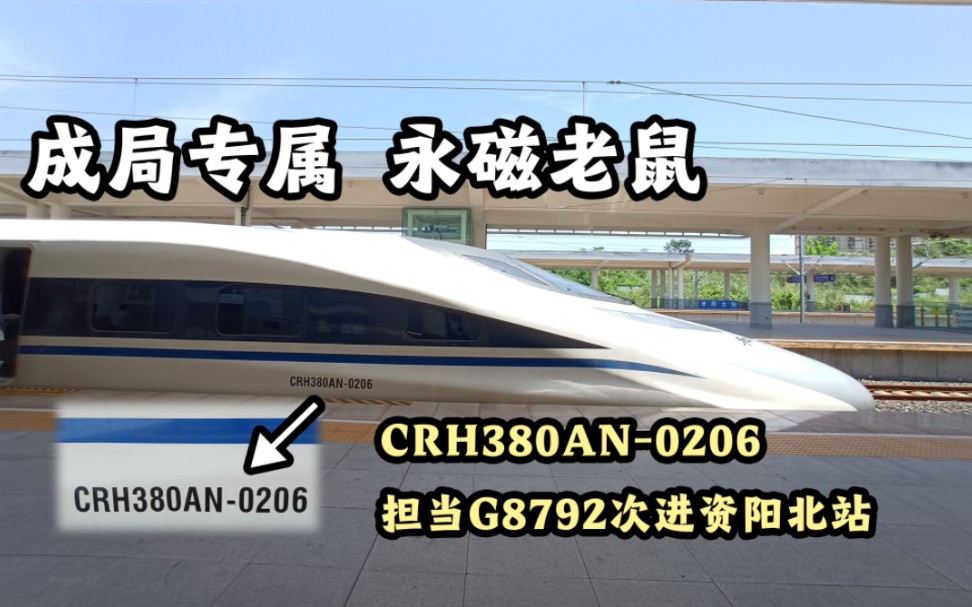 【中国铁路】成局专属 永磁老鼠 CRH380AN0206担当G8792次列车进资阳北站!哔哩哔哩bilibili