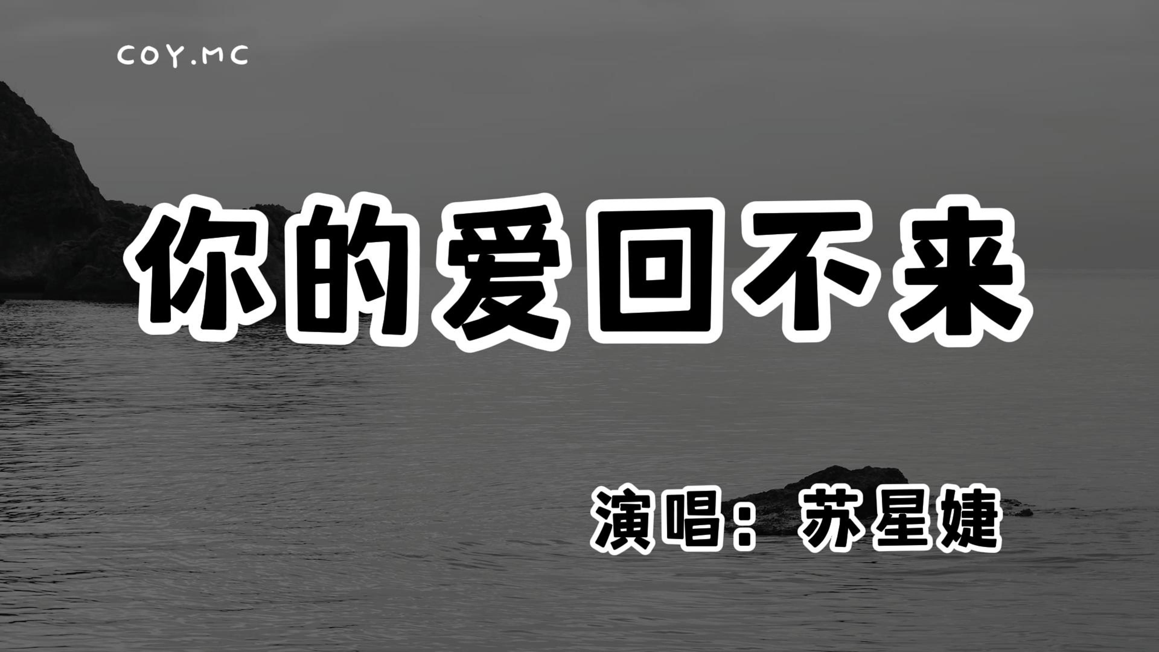 [图]苏星婕 - 你的爱回不来『雨天蔓延着思念却只淋湿了眼』（动态歌词/Lyrics Video/无损音质/4k）