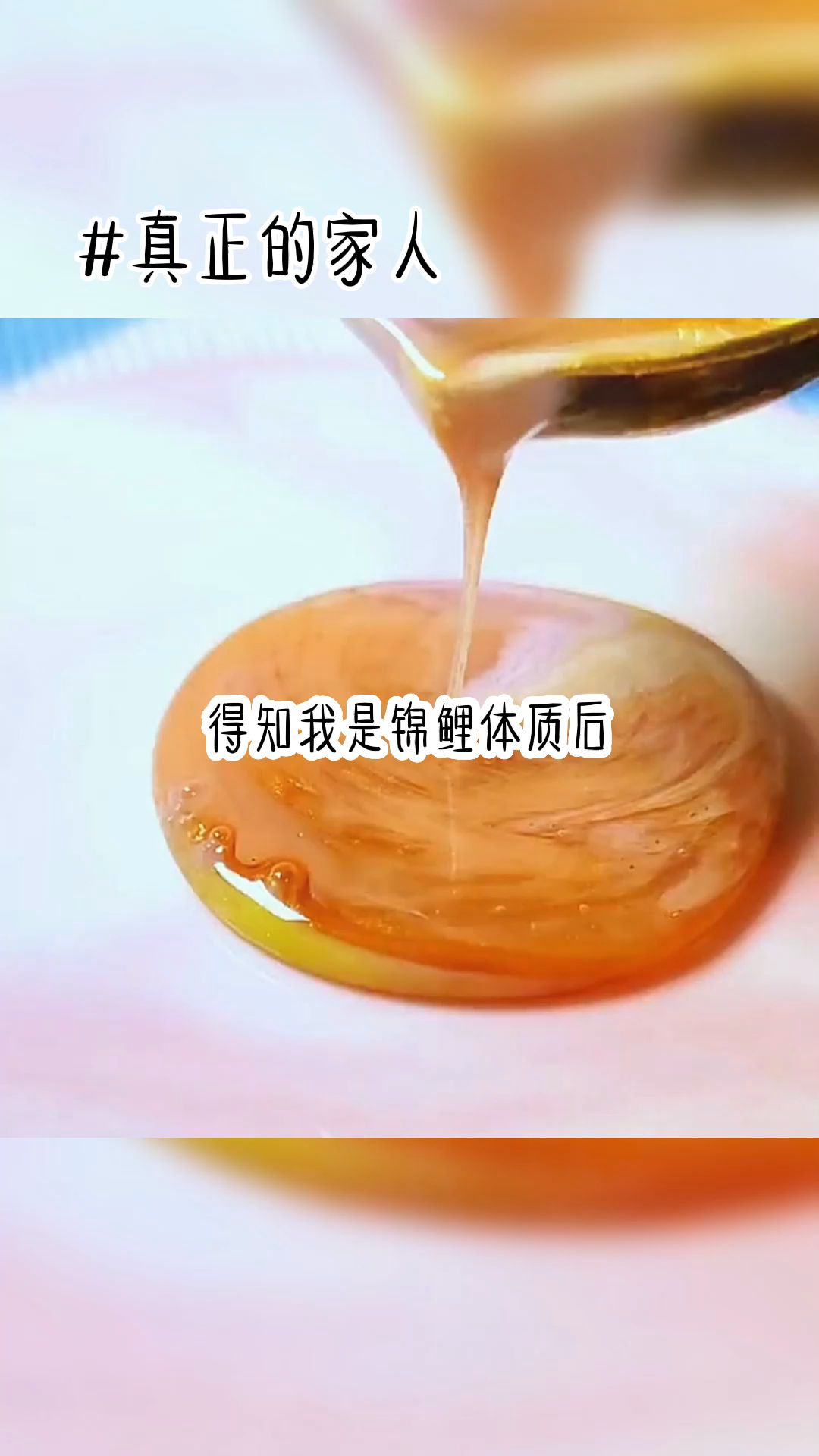 真正的家人哔哩哔哩bilibili