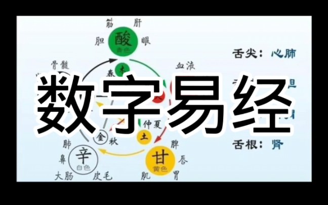 数字易经!五行属水的行业哔哩哔哩bilibili