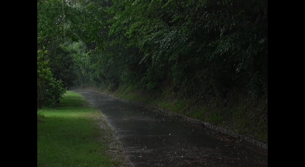 [图]Spring Rain 春雨润三月