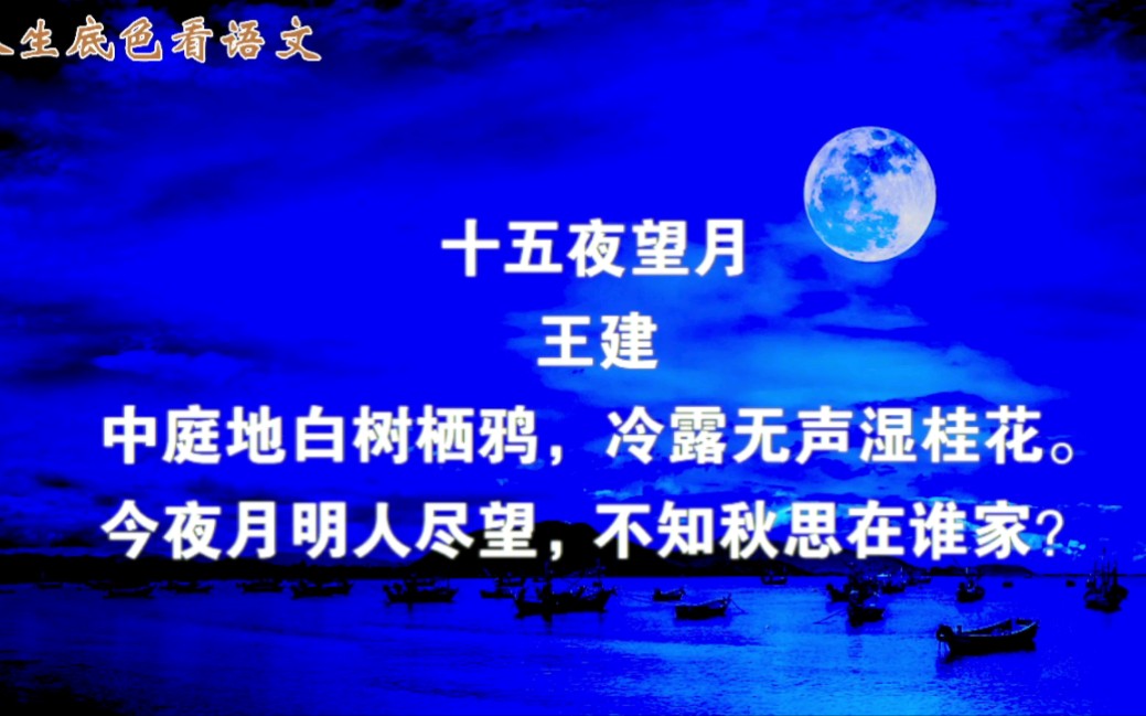 王建《十五夜望月》赏析:一样的明月,不一样的秋思哔哩哔哩bilibili