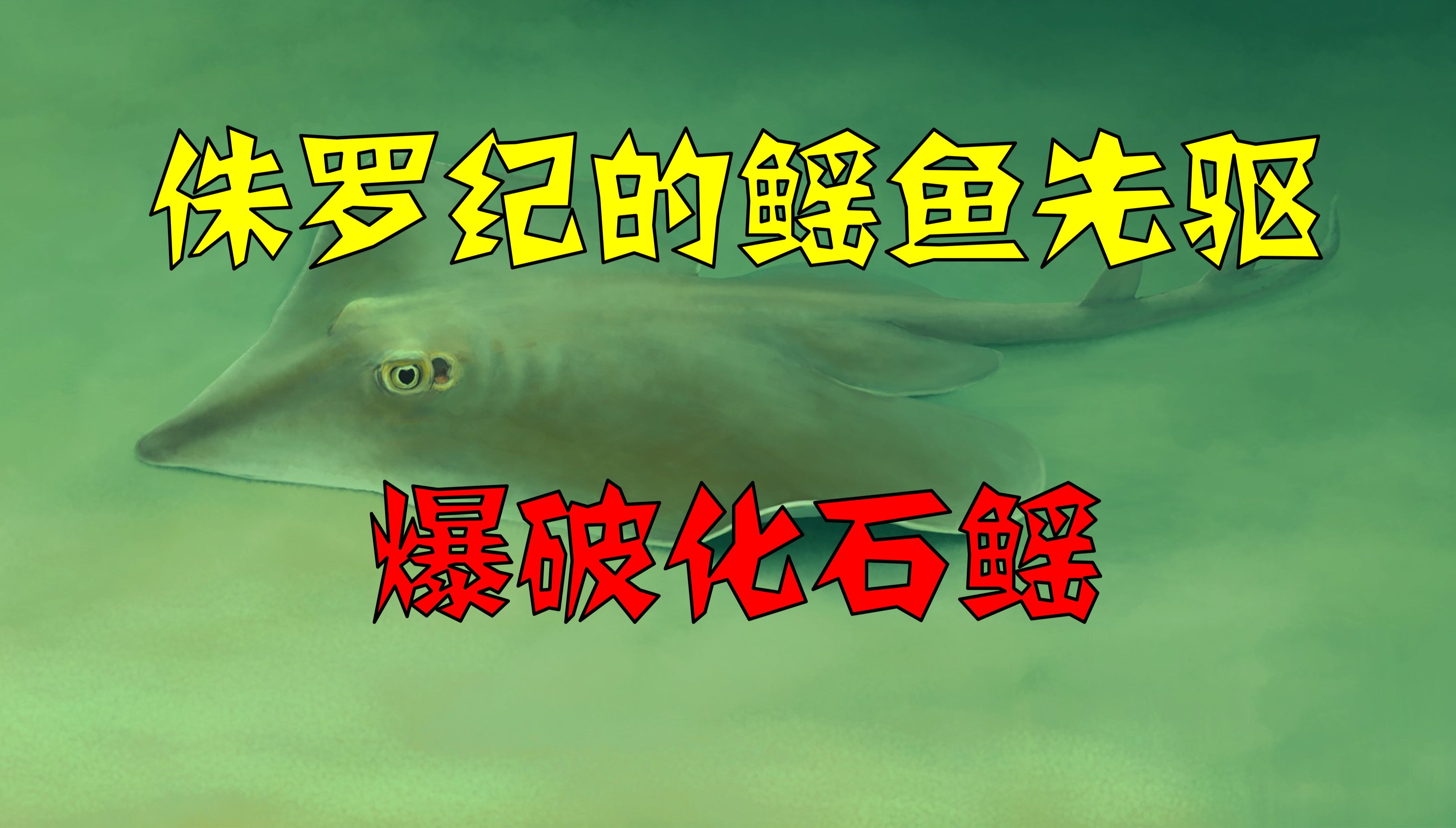 侏罗纪的鳐鱼先驱：爆破 化石鳐-少康1104-少康1104-哔哩哔哩视频