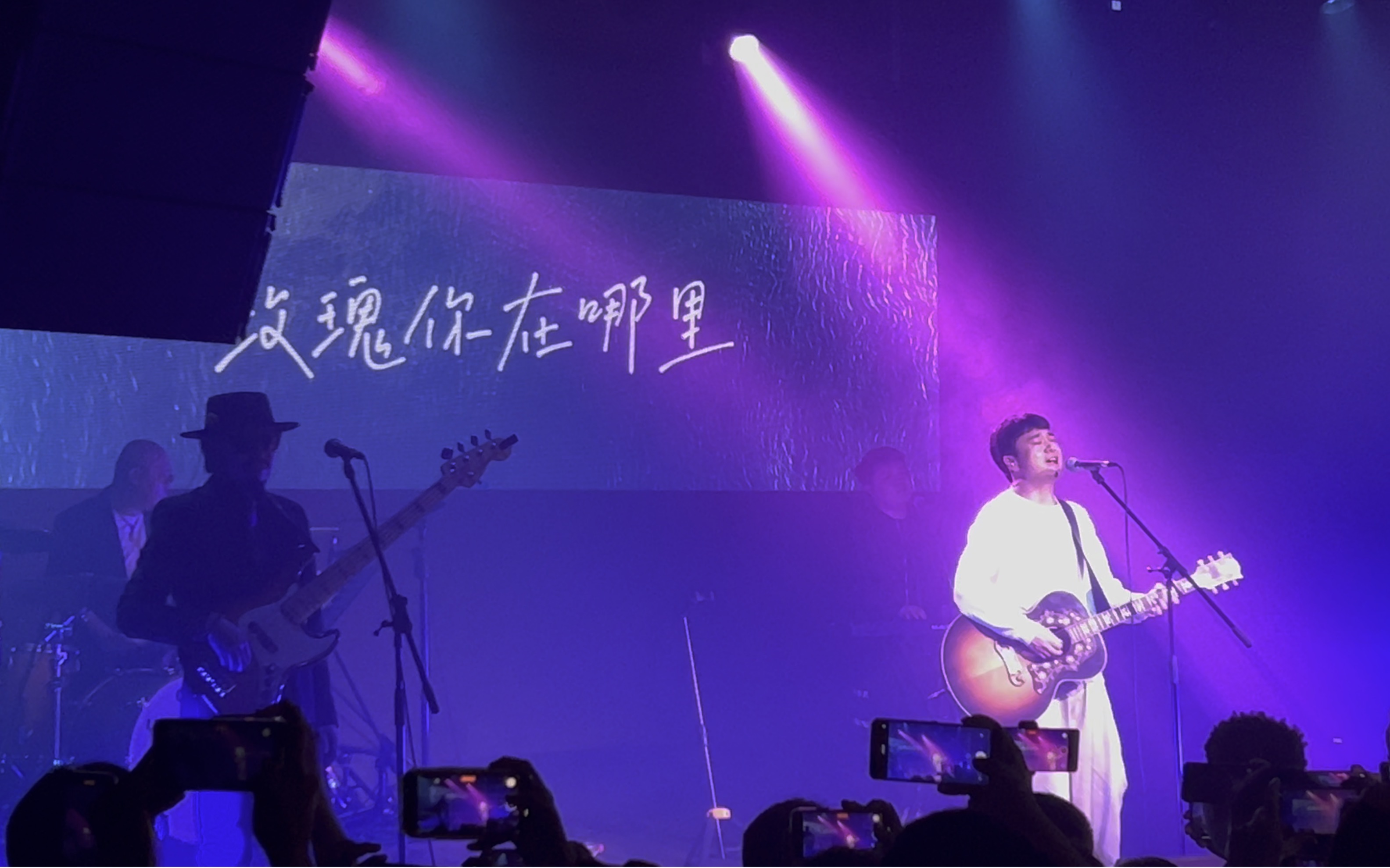 贰佰-玫瑰-杭州场