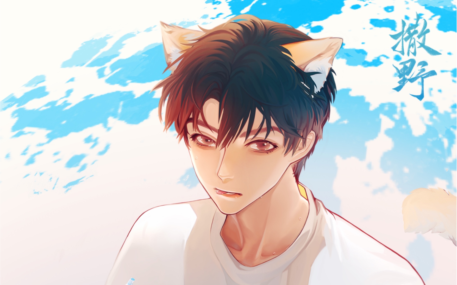 【procreate】叮——猫猫丞上线