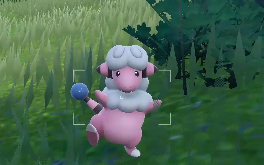 [宝可梦朱紫]不怕生的茸茸羊还会跟在人的后面,可爱极了!