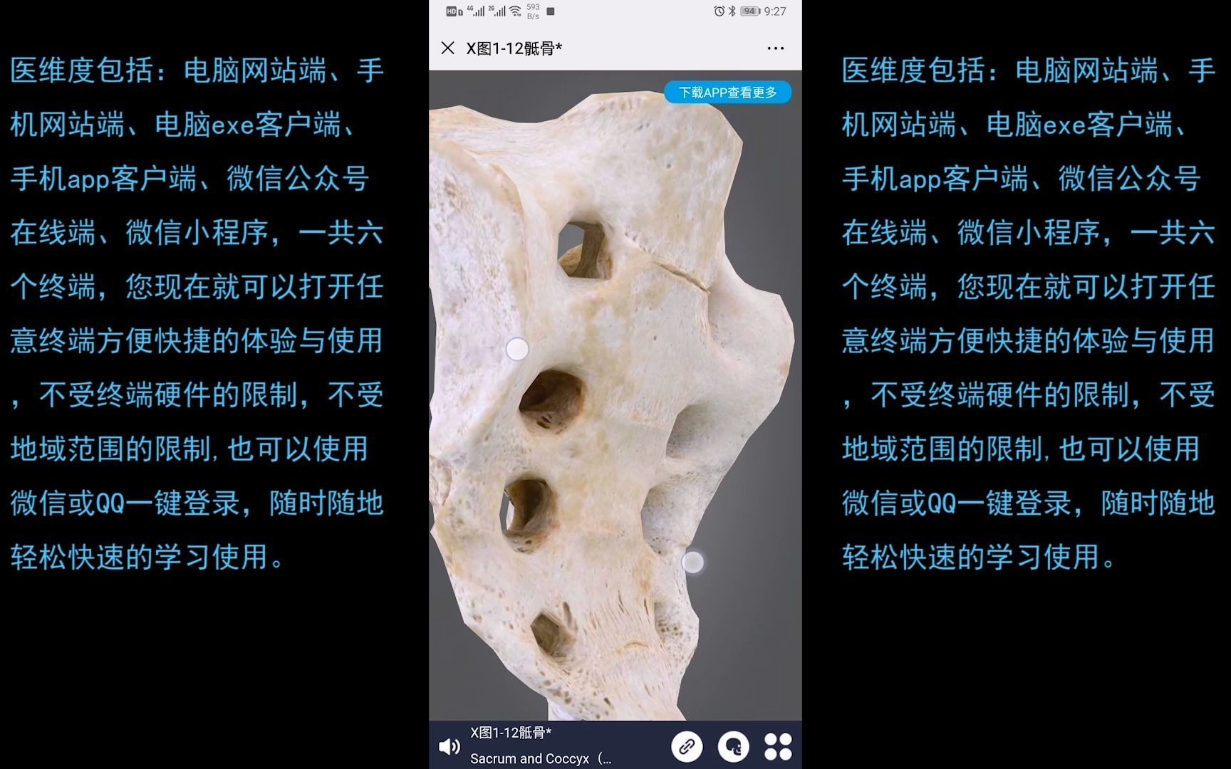 [图]【高清免费模型】医维度3D人体解剖软件app介绍