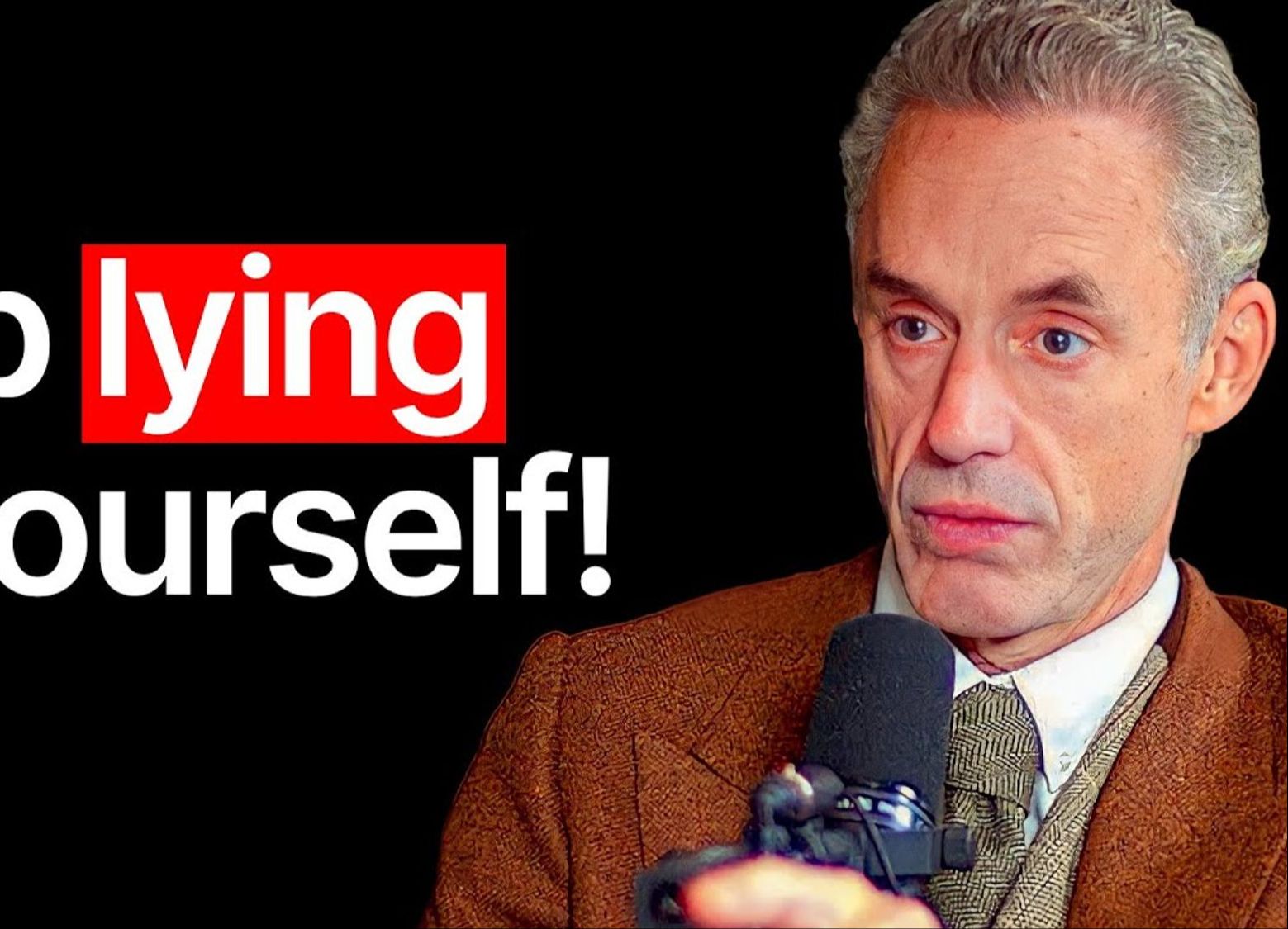 the diary of a ceo-jordan peterson: 如何成为你一直想成为的人