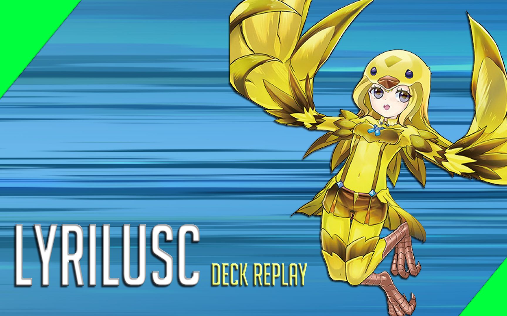 ygopro游戏王牌组分享抒情歌鸲牌组dp25ocg