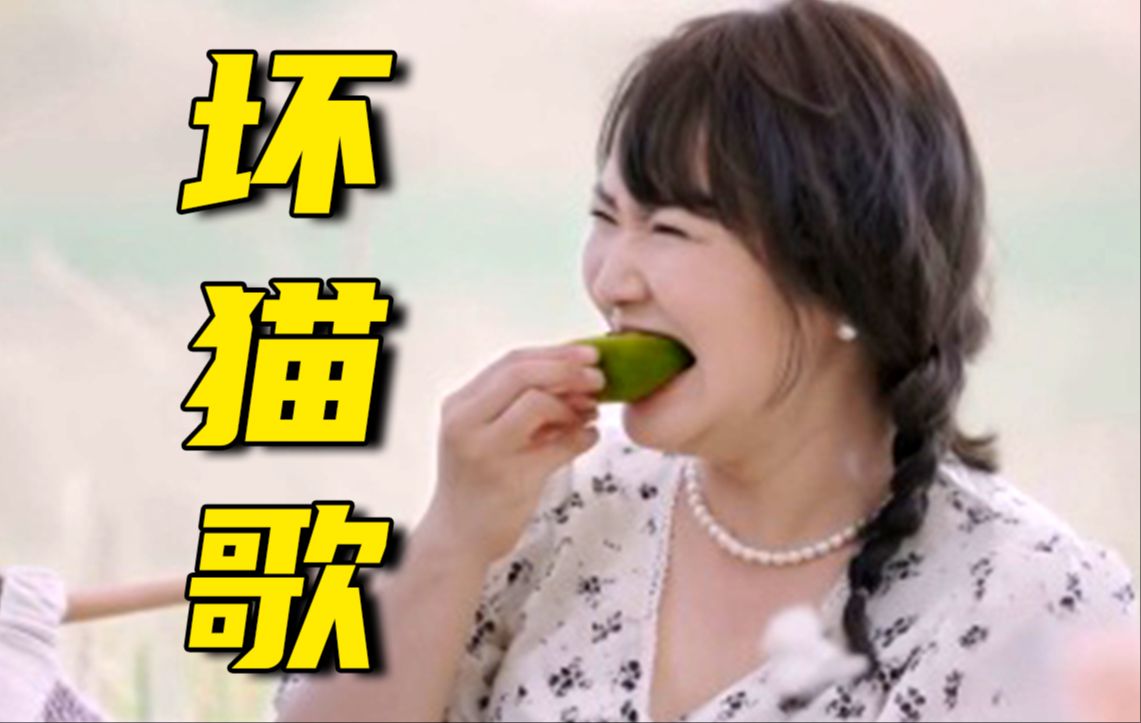 “小猫把麦琳的青团,都换成豆沙味”-纽毕斯-纽毕斯-哔哩哔哩视频