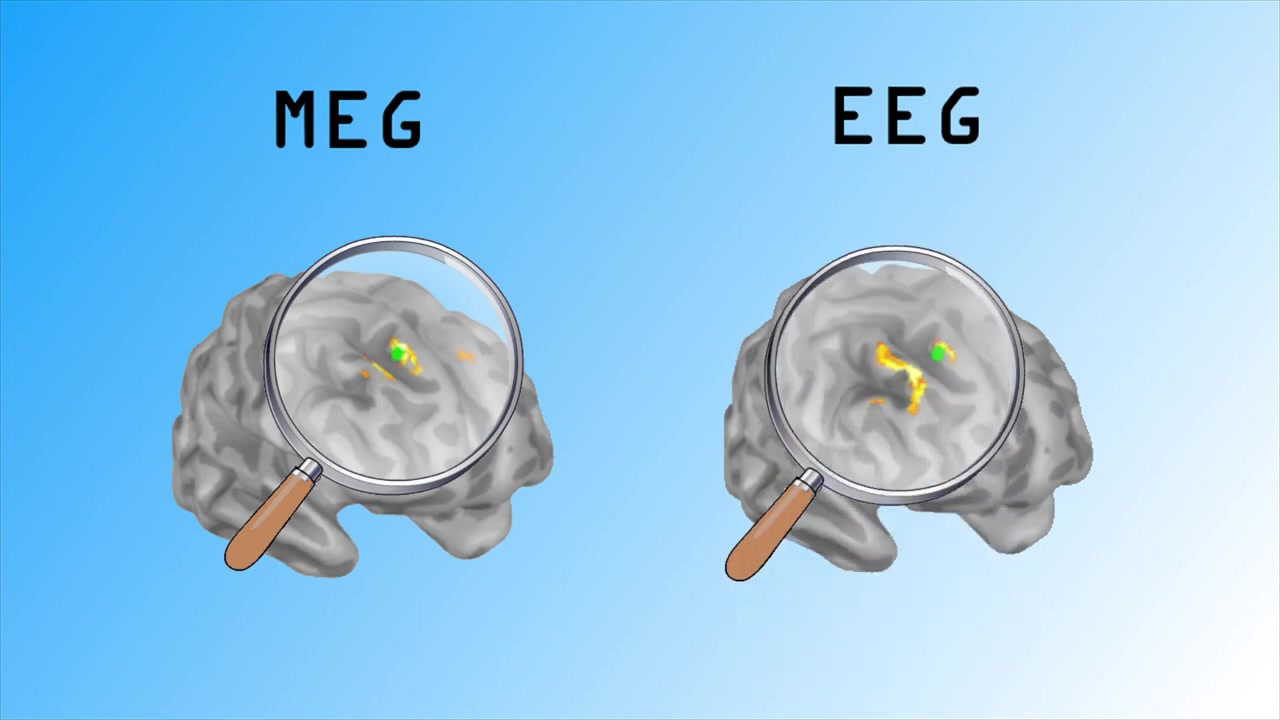 [图]神经科学方法系列微课（ Neuroscience Methods）