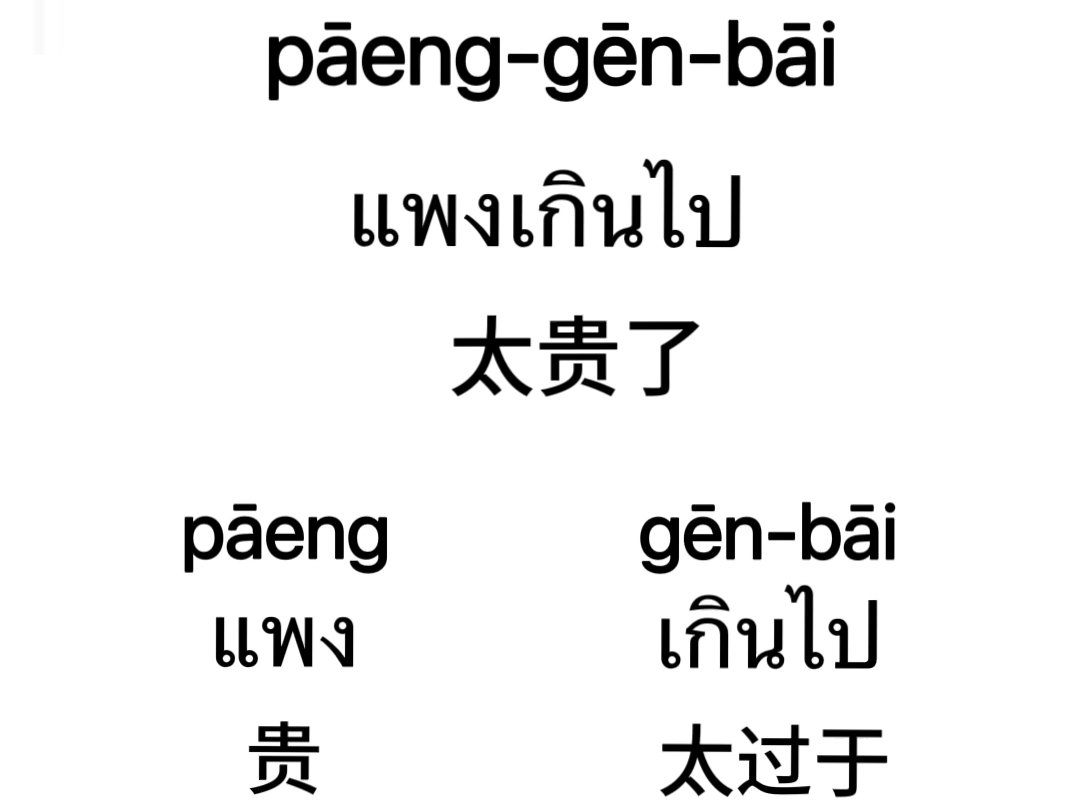 泰语口语 泰语 泰语教学 泰语学习 泰国哔哩哔哩bilibili