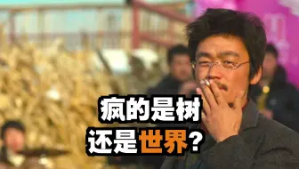 《树先生》，上映多年后才火了起来！简直是底层最血淋淋的镜子！