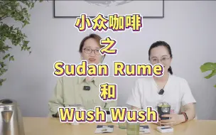 下载视频: 大噶好｜小众咖啡豆种之 Sudan Rume 和 Wush Wush