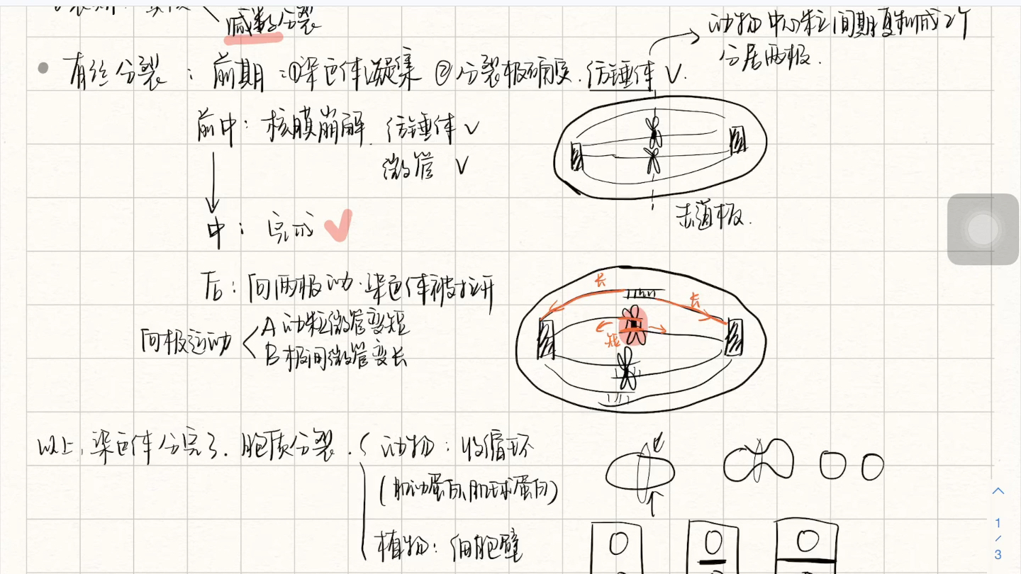 [图]【细胞生物学】6分钟带你学会细胞增殖！学不会就…再学一遍！