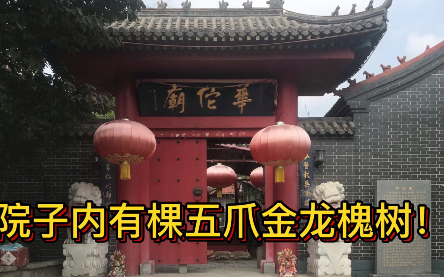 天津有座华佗庙,院子内居然有棵北辰区的槐树王,让人吃惊_哔哩哔哩