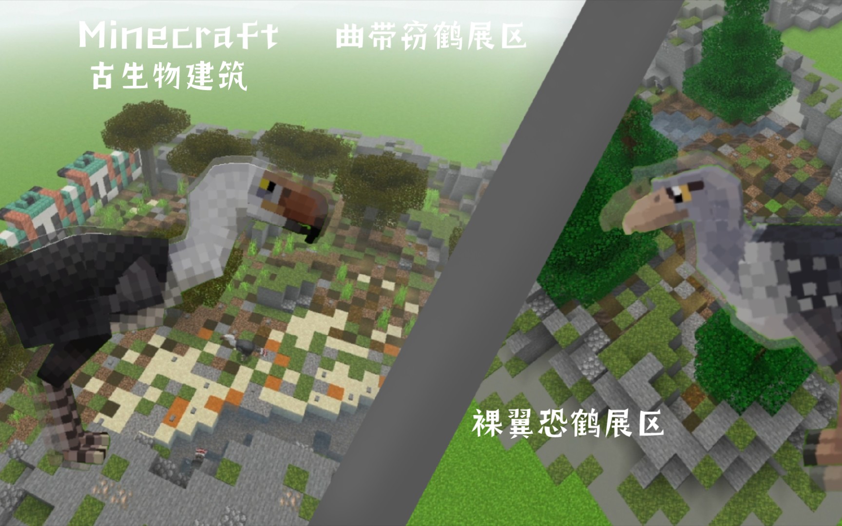 【Minecraft/古生物建筑】曲带窃鹤展区and裸翼恐鹤我的世界