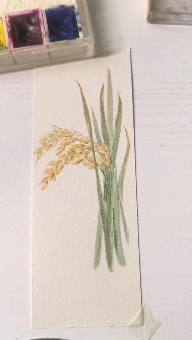 秋天水彩收获一束稻穗