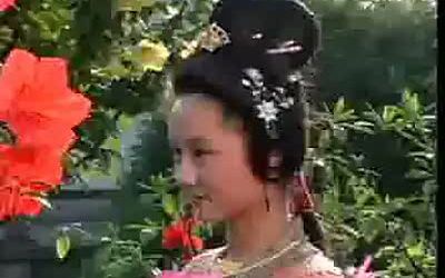 黄梅戏 《花田错》,花田盛会,一错再错,好事多磨