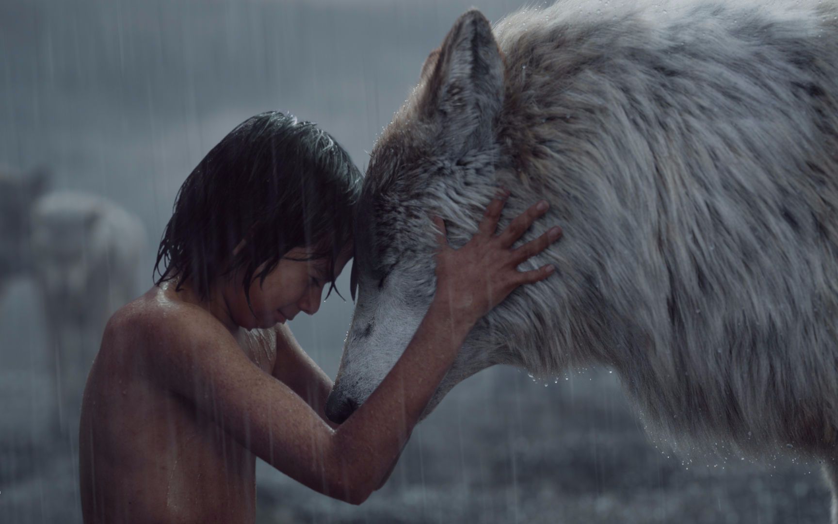 《奇幻森林》the jungle book