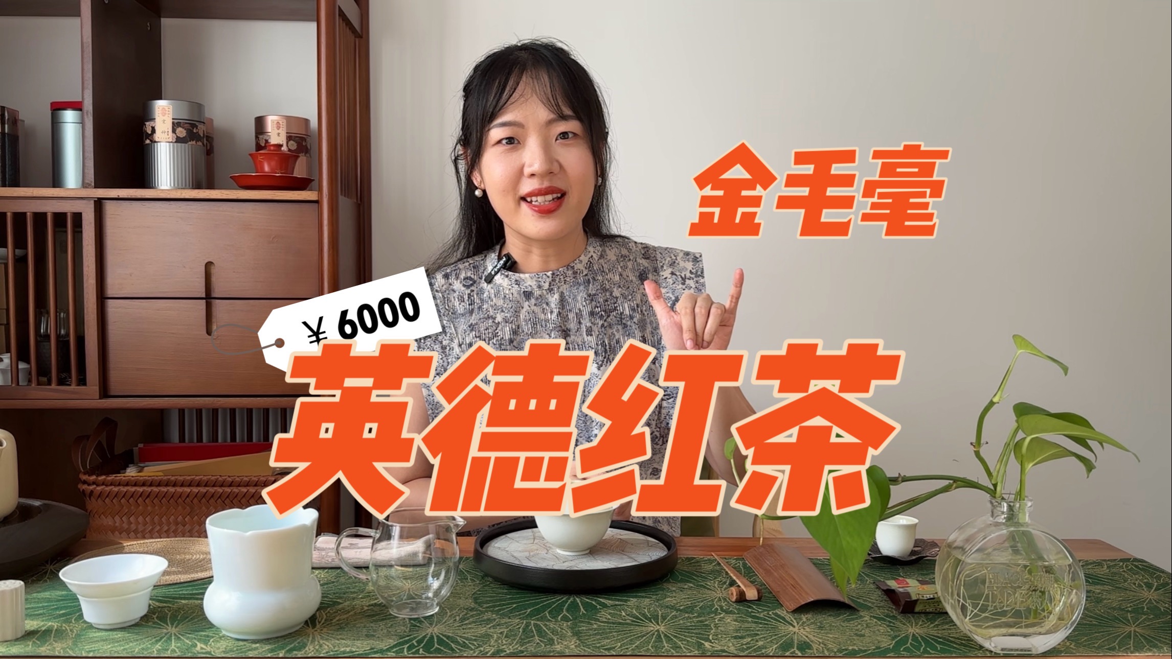 【茶叶测评】6000元的英德红茶金毛毫好在哪?哔哩哔哩bilibili