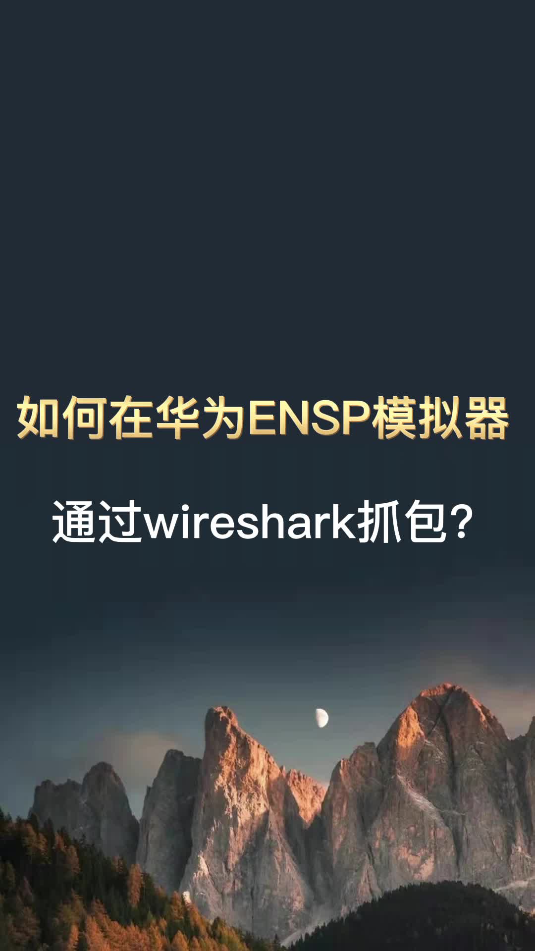 如何在华为ENSP模拟器中通过wireshark抓包?哔哩哔哩bilibili