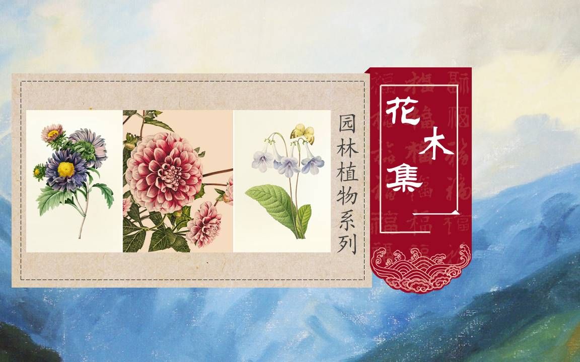 【花木集】常用园林植物系列(一)哔哩哔哩bilibili