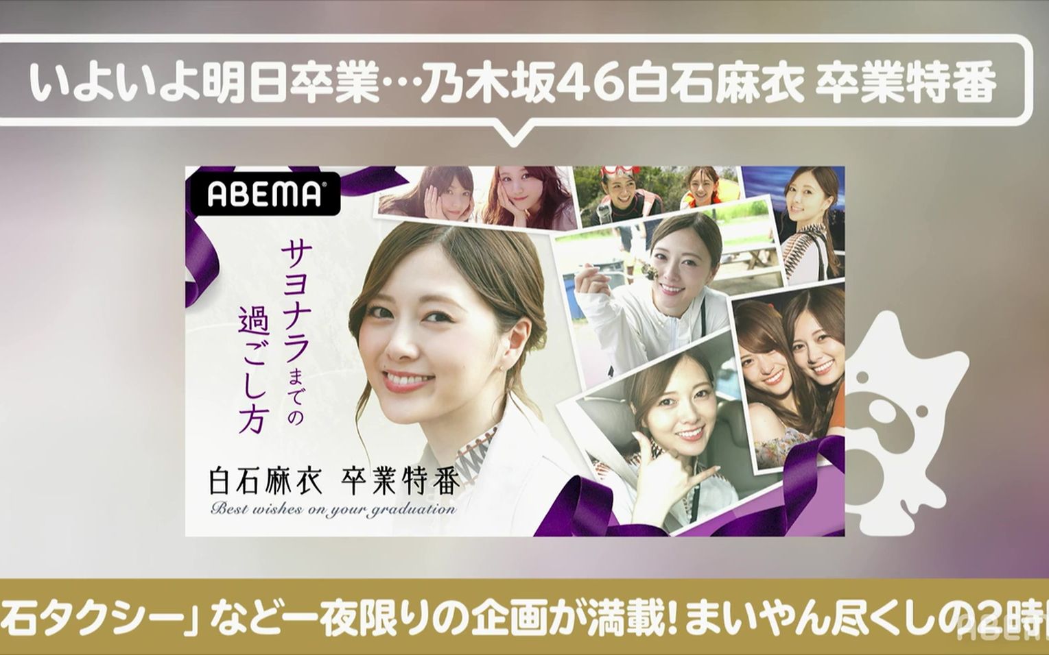 白石麻衣 视频在线观看 爱奇艺搜索