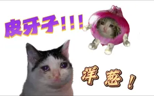 Download Video: 可颂猫，但是新疆皮牙子