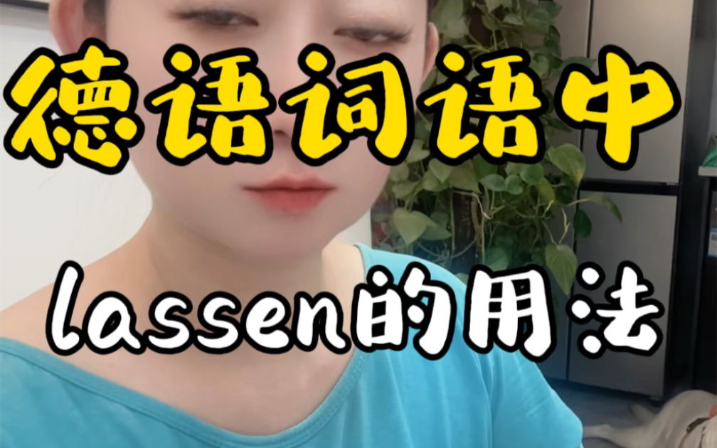 你们要的lassen 用法全集终于来了,快点赞评论收藏吧,转给你有觉得有用的人吧#德语 #小语种 #德国留学 #德语入门教学 #德语沛辰哔哩哔哩bilibili