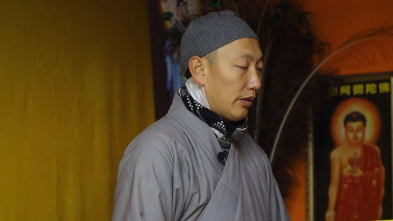 未婚怀孕5个月,姑娘找上门!道禄和尚:我不救一条生命就没了