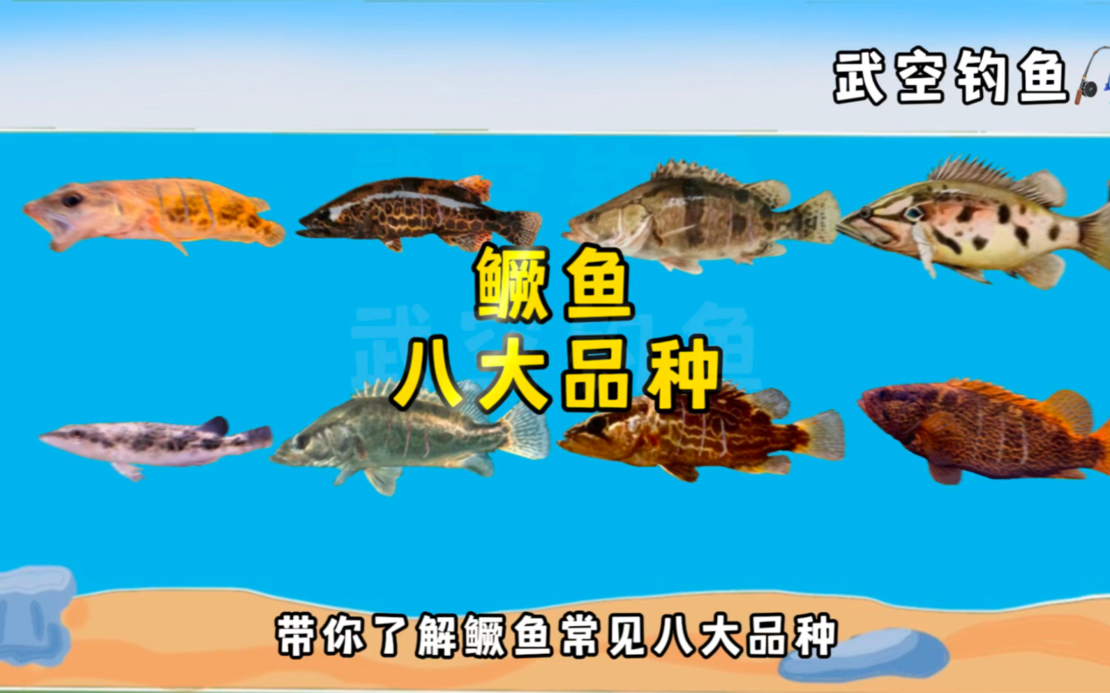 鳜鱼品种大全图图片