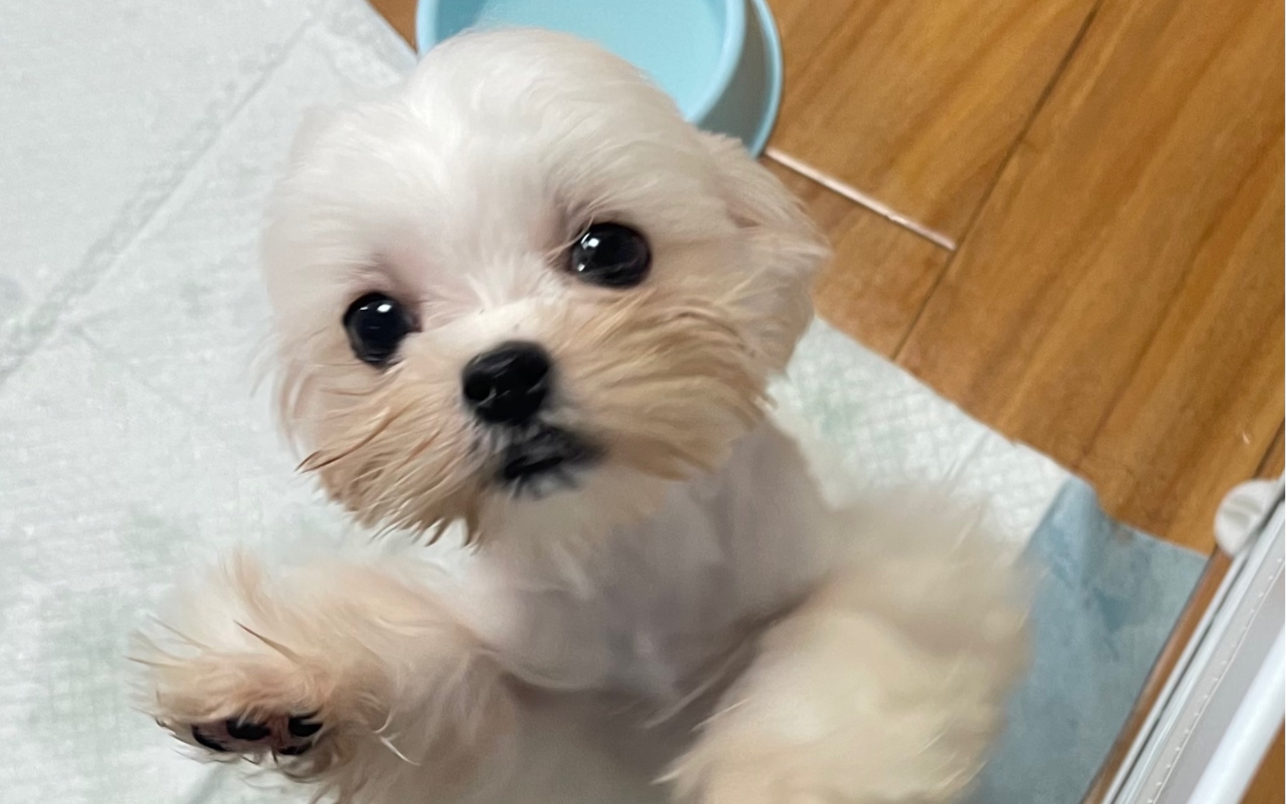 小约和小夏的日常——初见就爱上