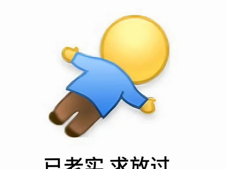 老老实实表情包图片