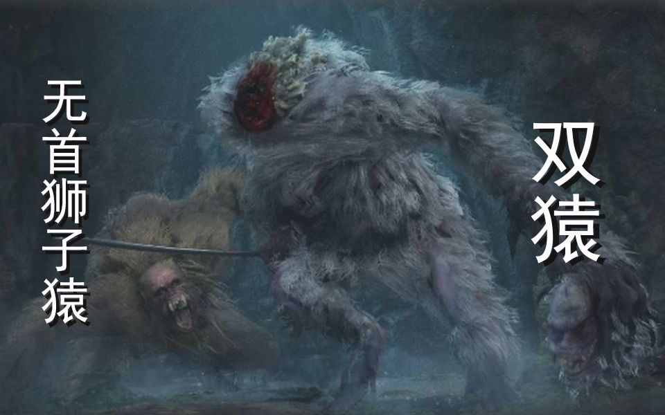 只狼双猿无首狮子猿速杀黑猴